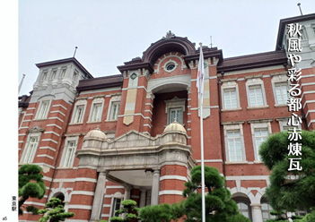 �H�G�����i11