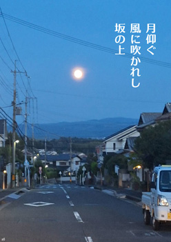 �H�G�����i12