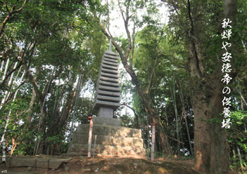 �H�G�����i20