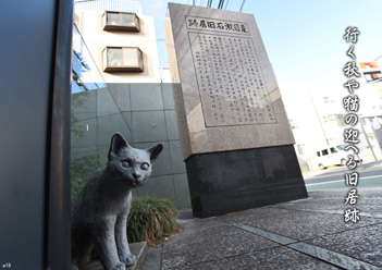 �H�G�����i22