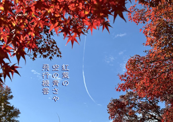 �H�G�����i23