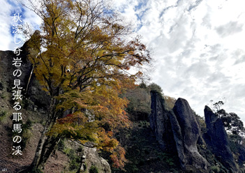 �H�G�����i24