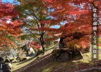 �H�G�����i28