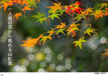 �H�G�����i30