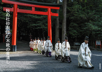 �H�G�����i31