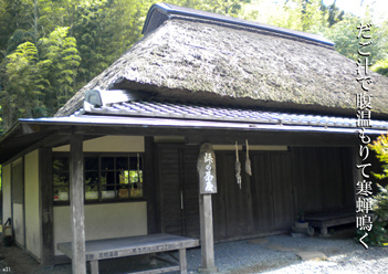 �H�G�����i32