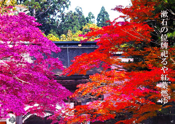 �H�G�����i8