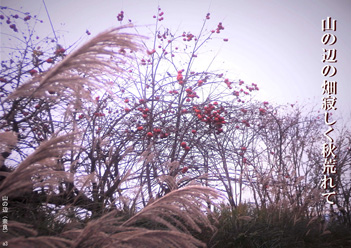 �H�G�����i9