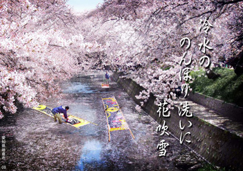 春季応募作品15