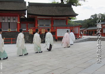 春季応募作品19