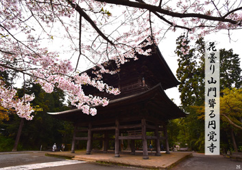 春季応募作品27