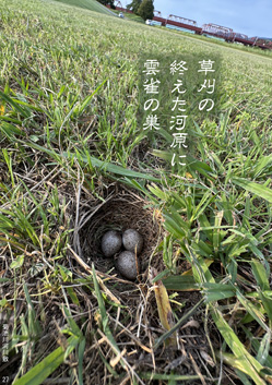 春季応募作品28