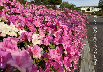 春季応募作品30