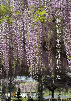 春季応募作品34