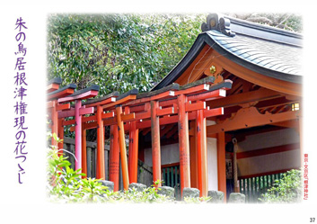 春季応募作品37