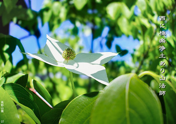 夏季応募作品11