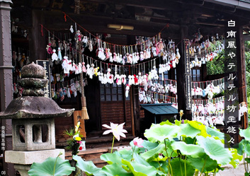 夏季応募作品12