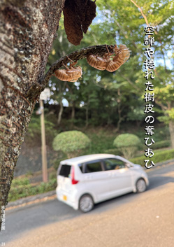 夏季応募作品33