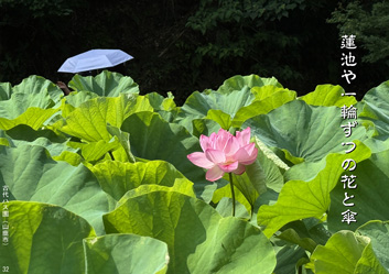 夏季応募作品34