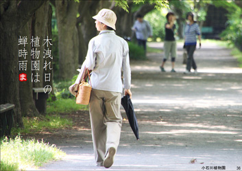 夏季応募作品38