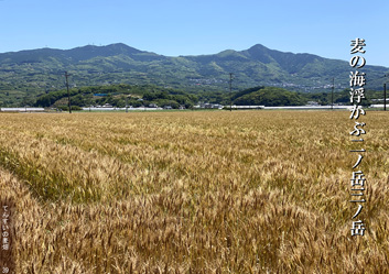 夏季応募作品40