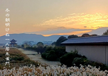 �~�G�����i11