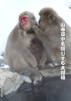 �~�G�����i13