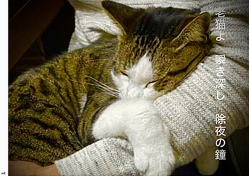 �~�G�����i14