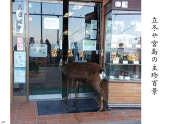 �~�G�����i19