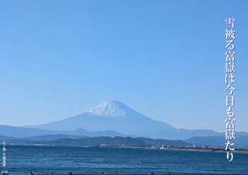 �~�G�����i20