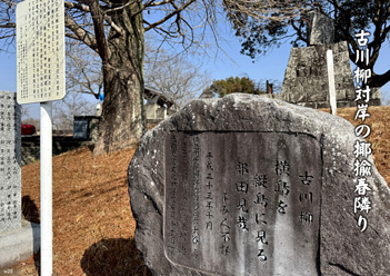 �~�G�����i30