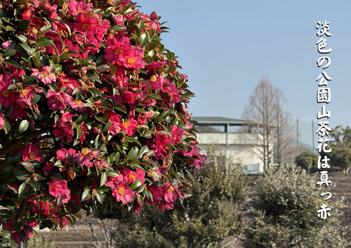 �~�G�����i31