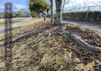 �~�G�����i35