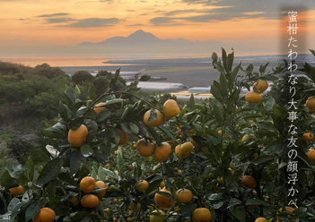 �~�G�����i37